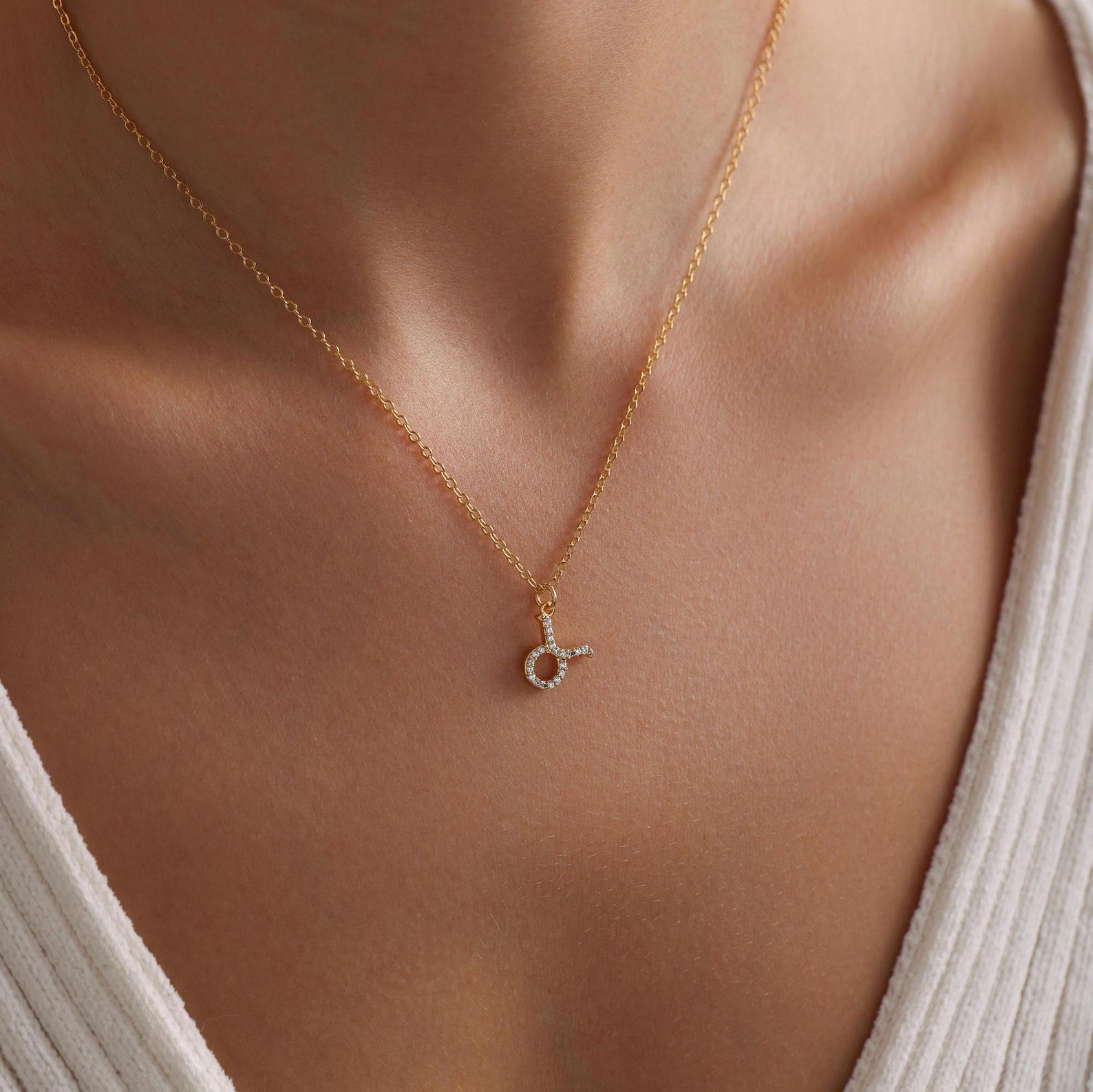 Personalized Tiny Zodiac Pave Necklace