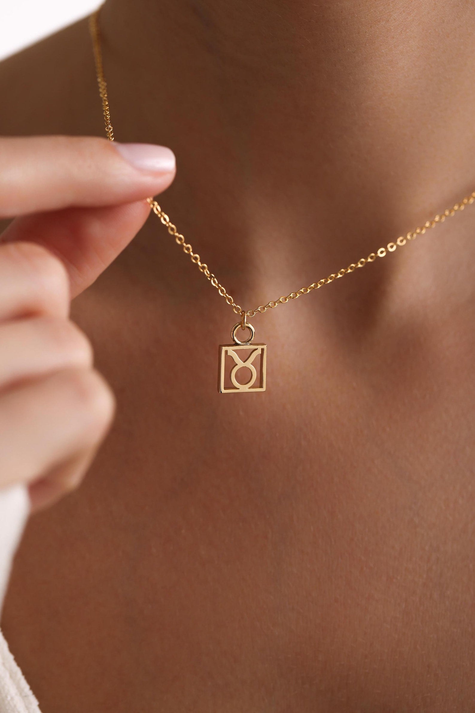 Plated Zodiac Pendant Necklace