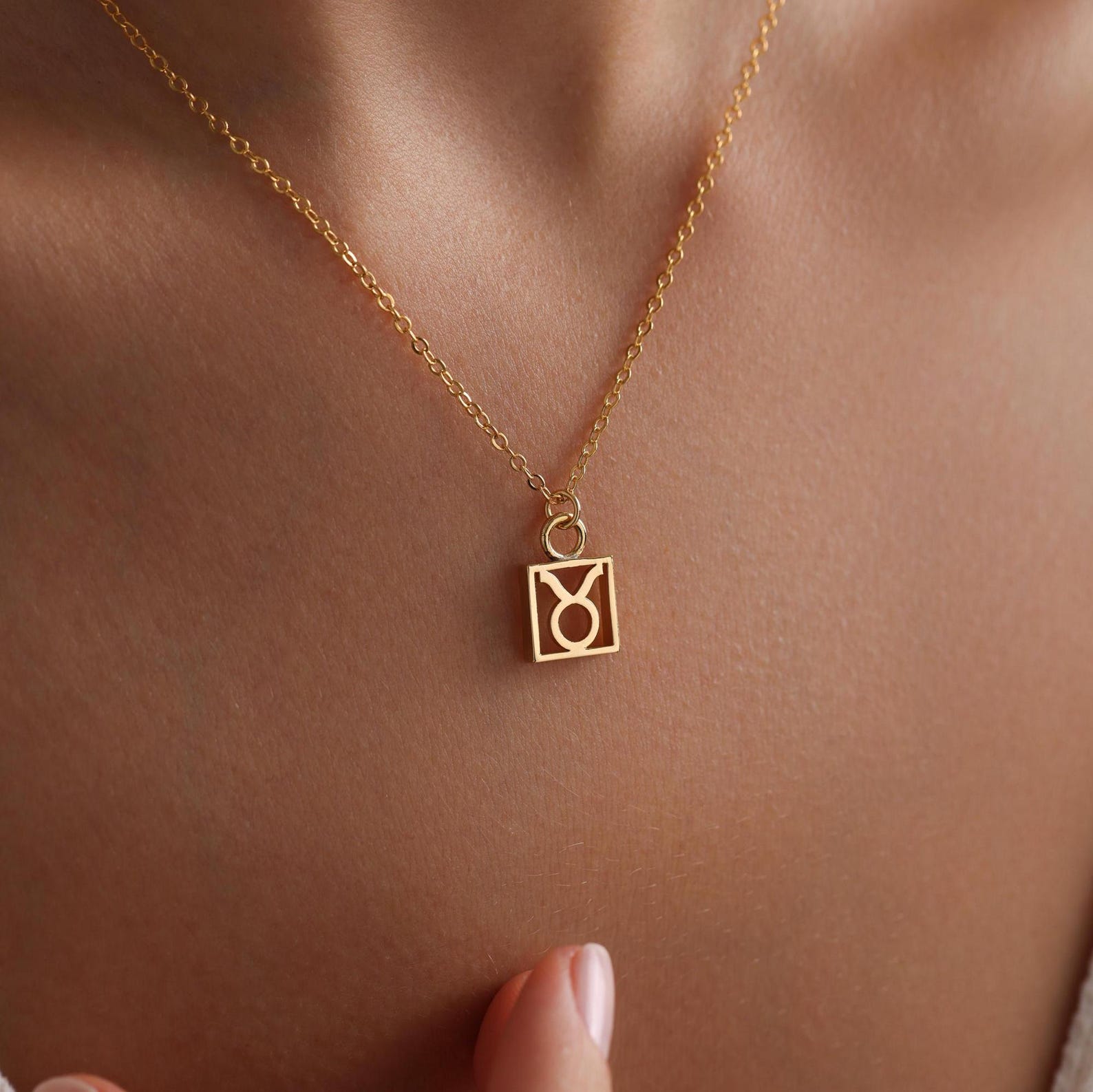 Plated Zodiac Pendant Necklace