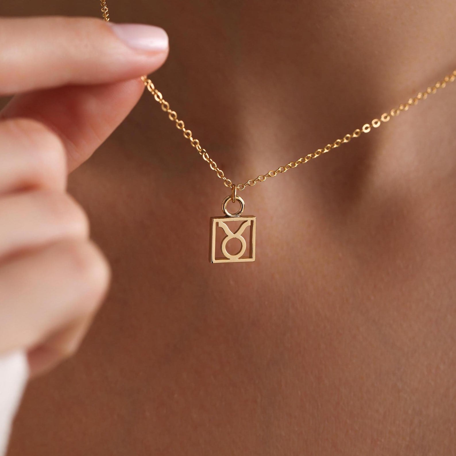 Plated Zodiac Pendant Necklace